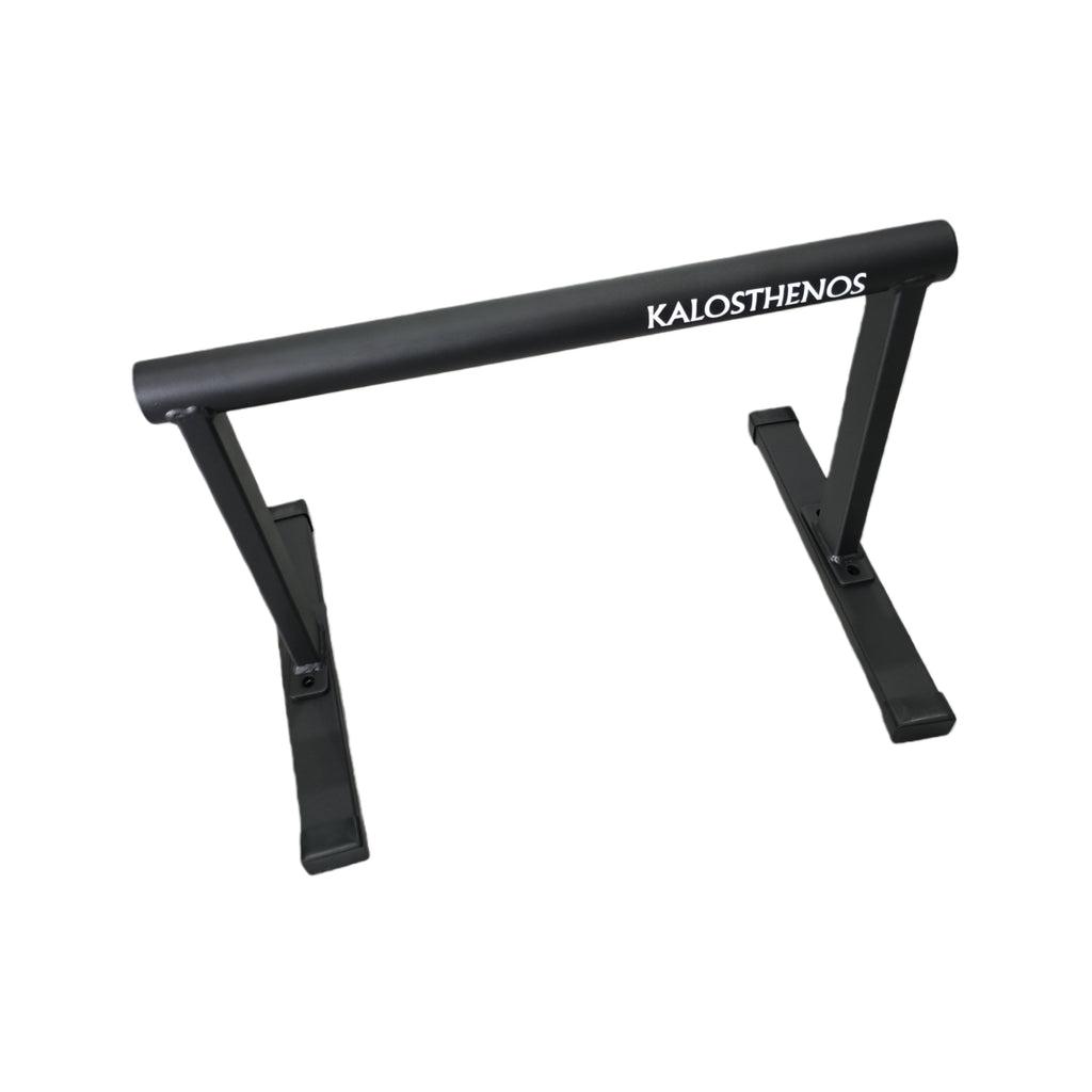 Metal Parallettes Zeus