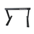 Metal Parallettes Zeus