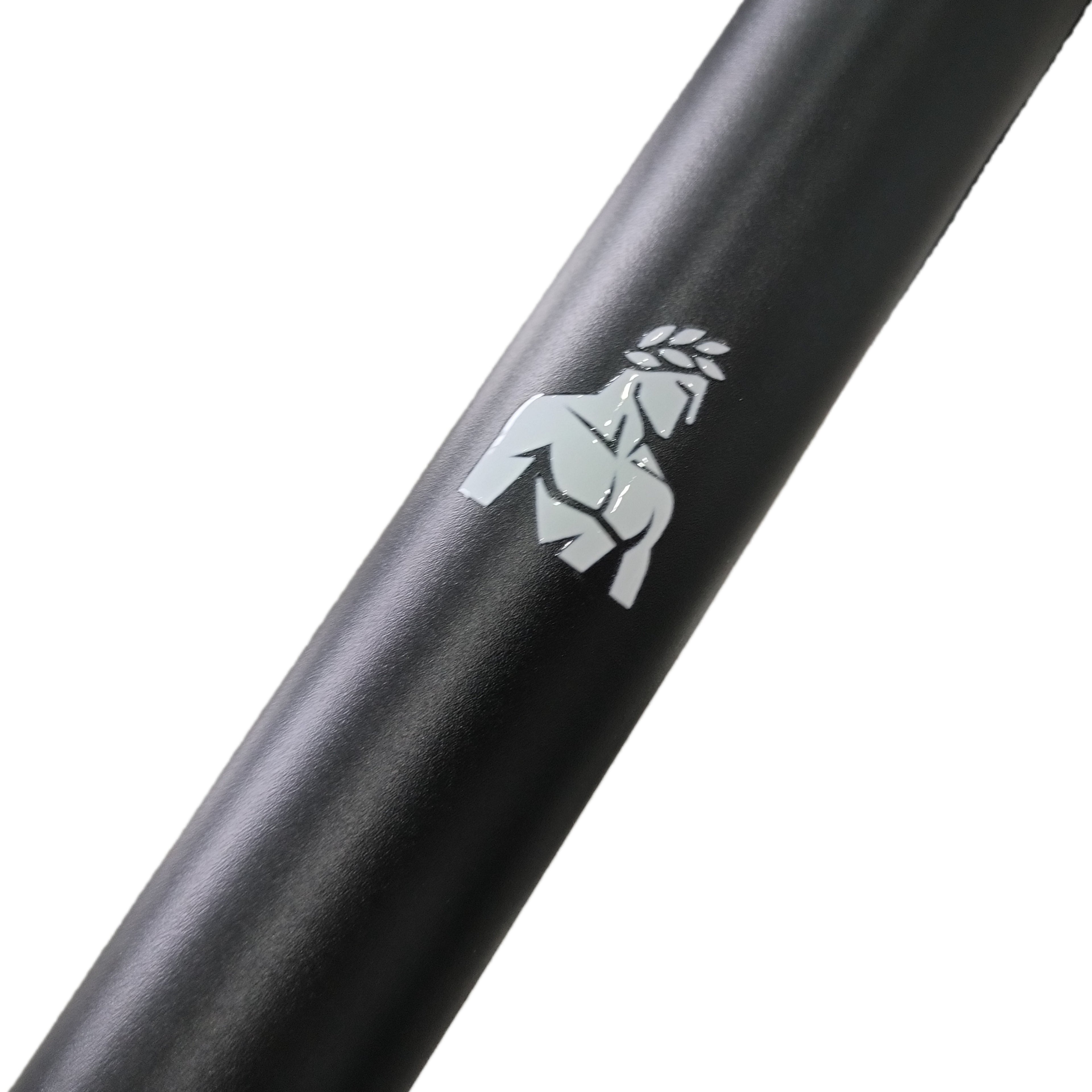 Dips/Front Lever Bars Hellios