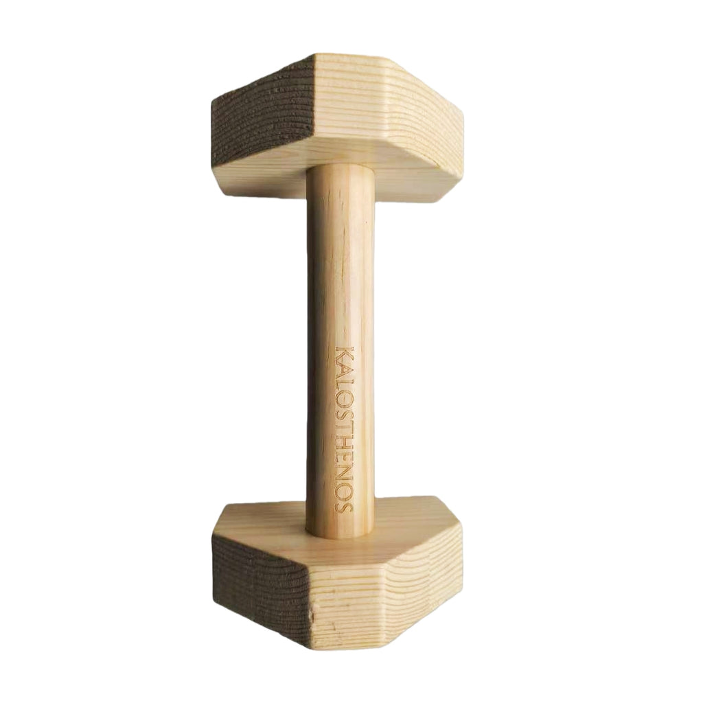 Wooden Parallettes Hercule