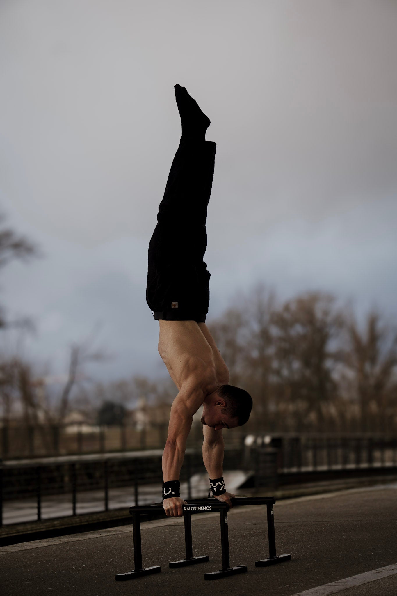 Metal Parallettes Zeus