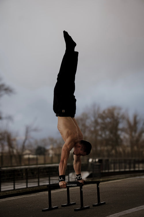 Metal Parallettes Zeus