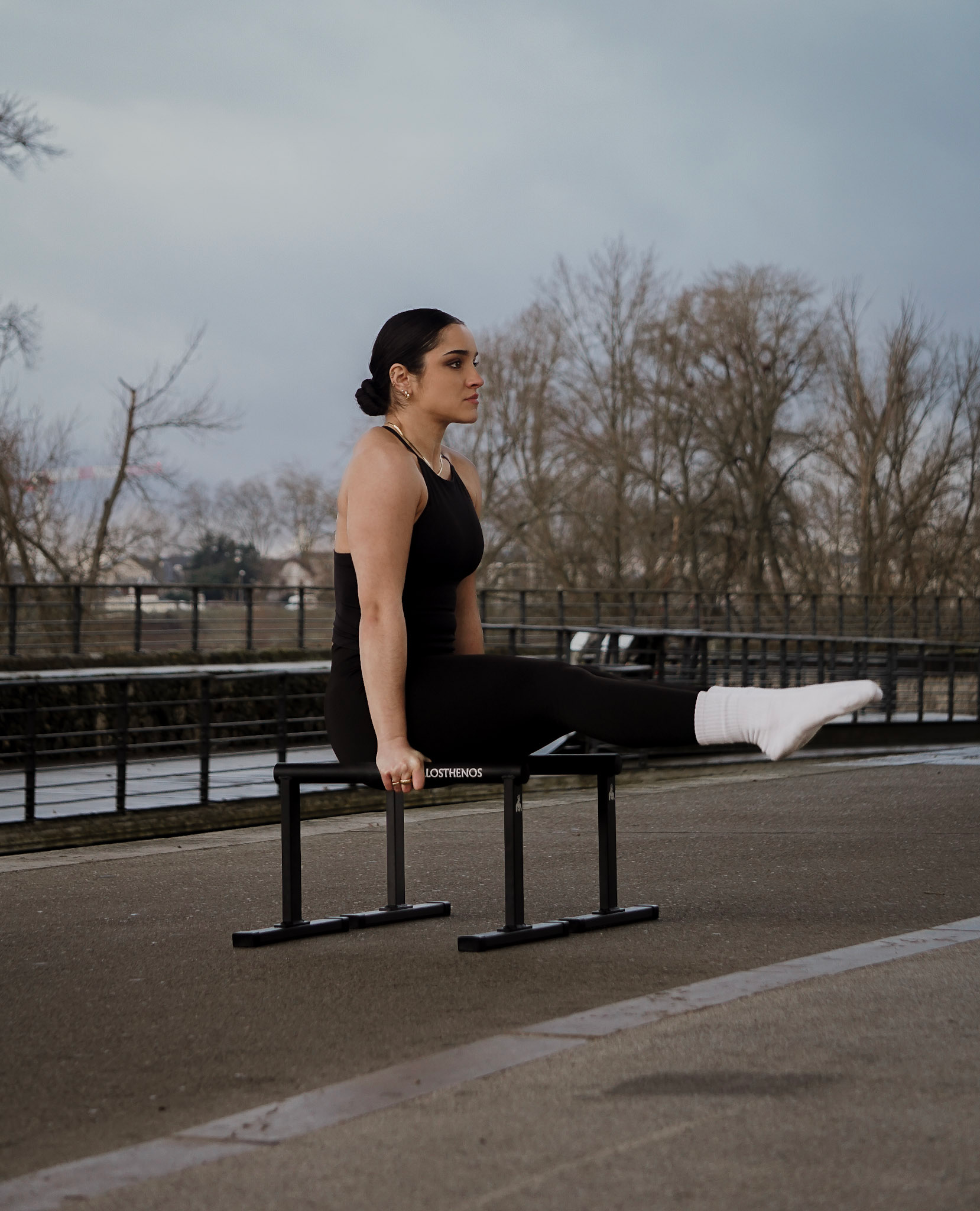 Parallettes En Métal Hautes