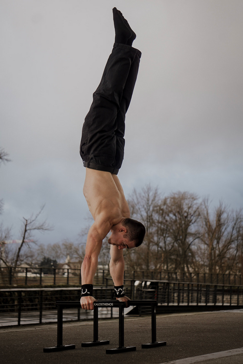 Metal Parallettes Zeus