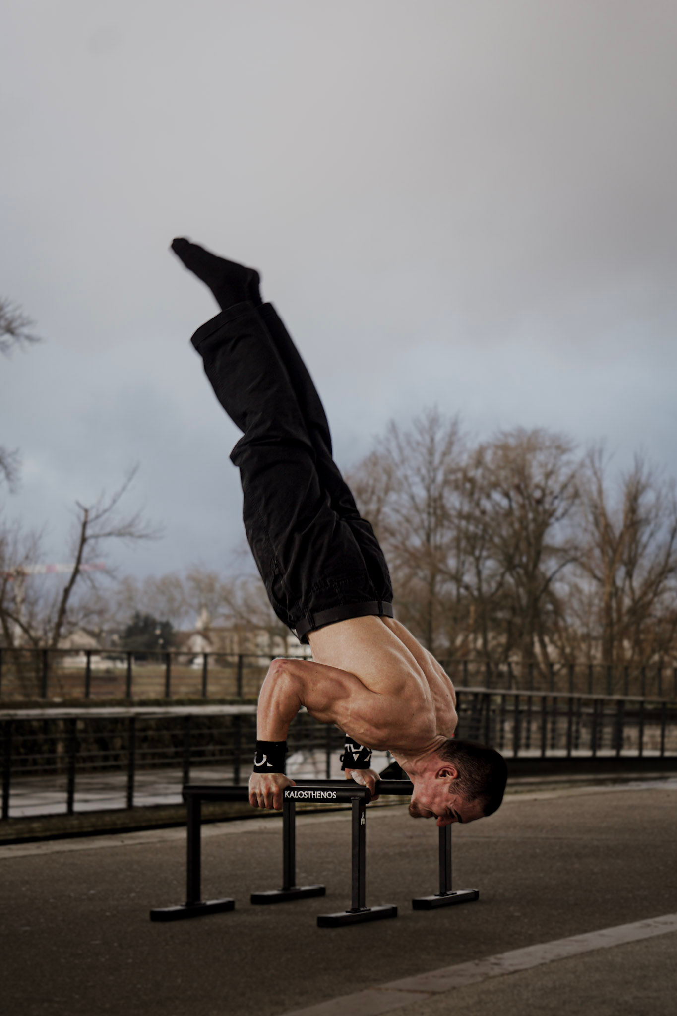 Parallettes En Métal Hautes