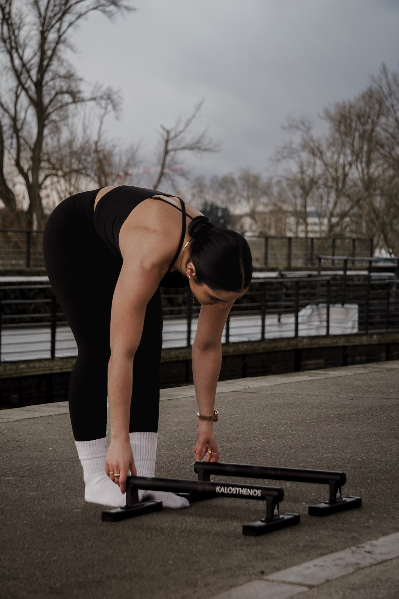 Parallettes En Métal Basses