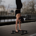 Parallettes En Métal Basses