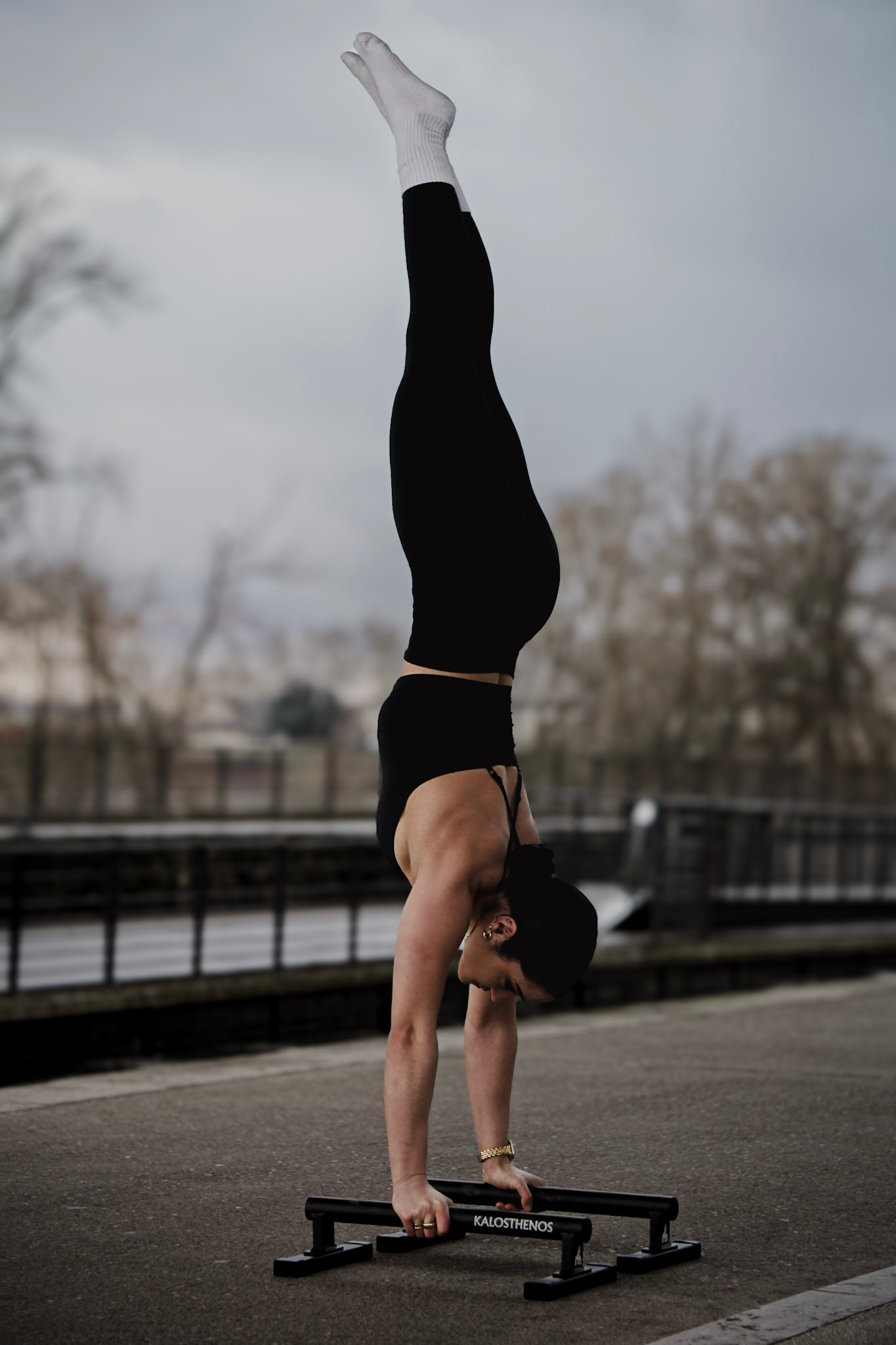 Metal Parallettes Ares