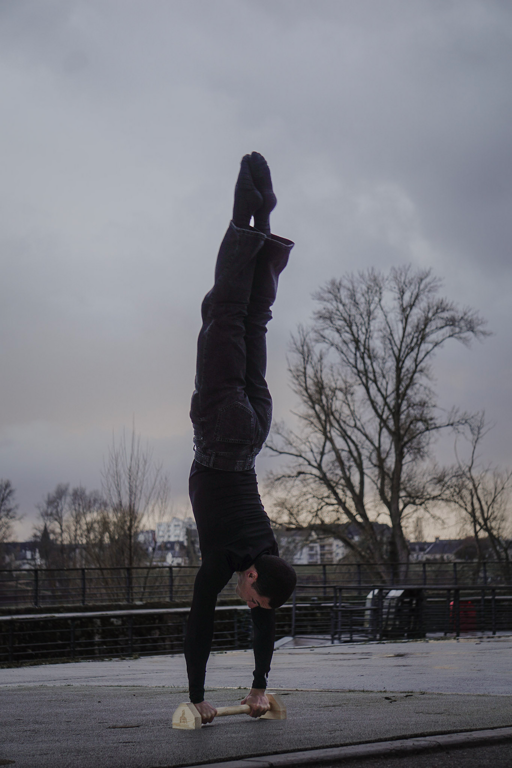 Parallettes En Bois Longues