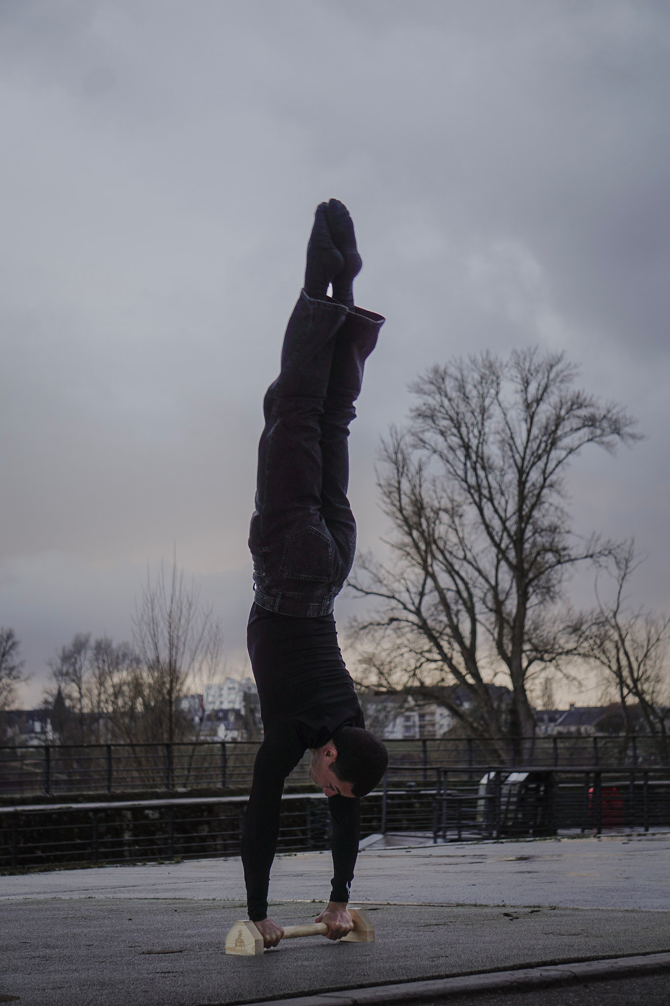 Wooden Parallettes Artemis