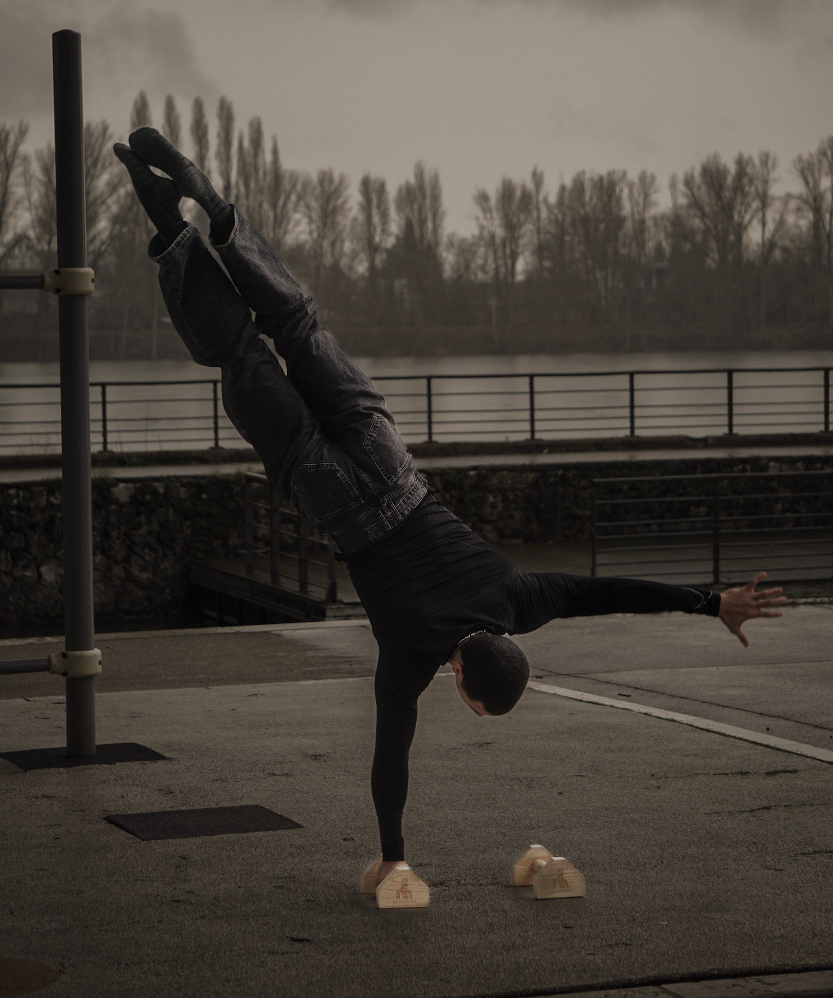 Parallettes En Bois Courtes