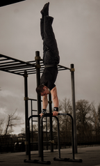 Barres De Dips/Front Lever