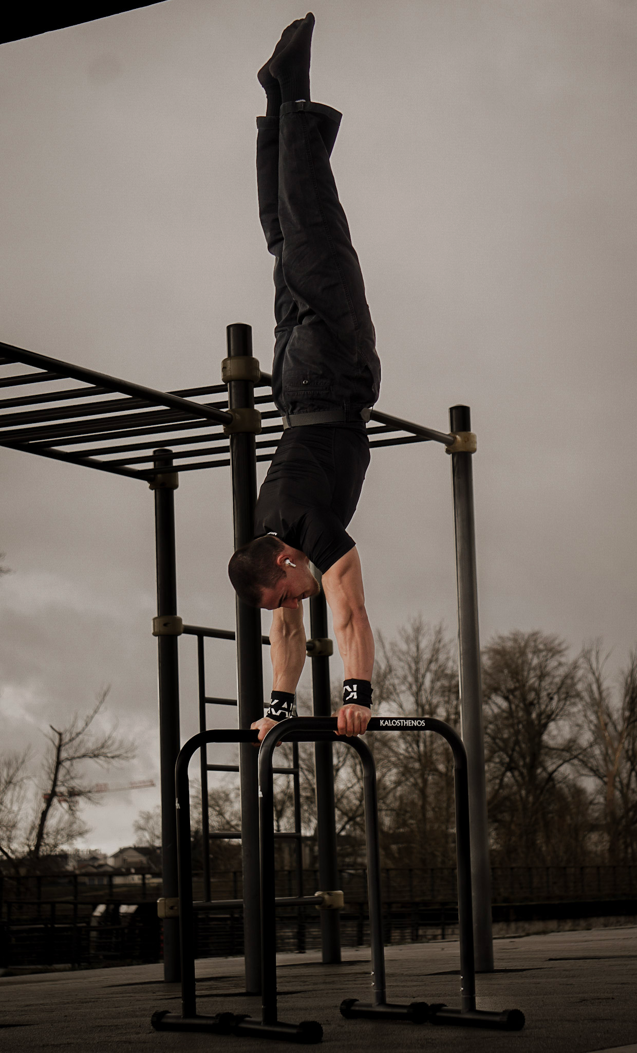 Barres De Dips/Front Lever