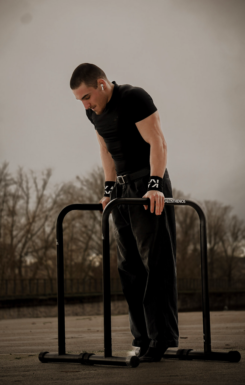 Barres De Dips/Front Lever