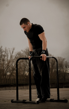 Barres De Dips/Front Lever