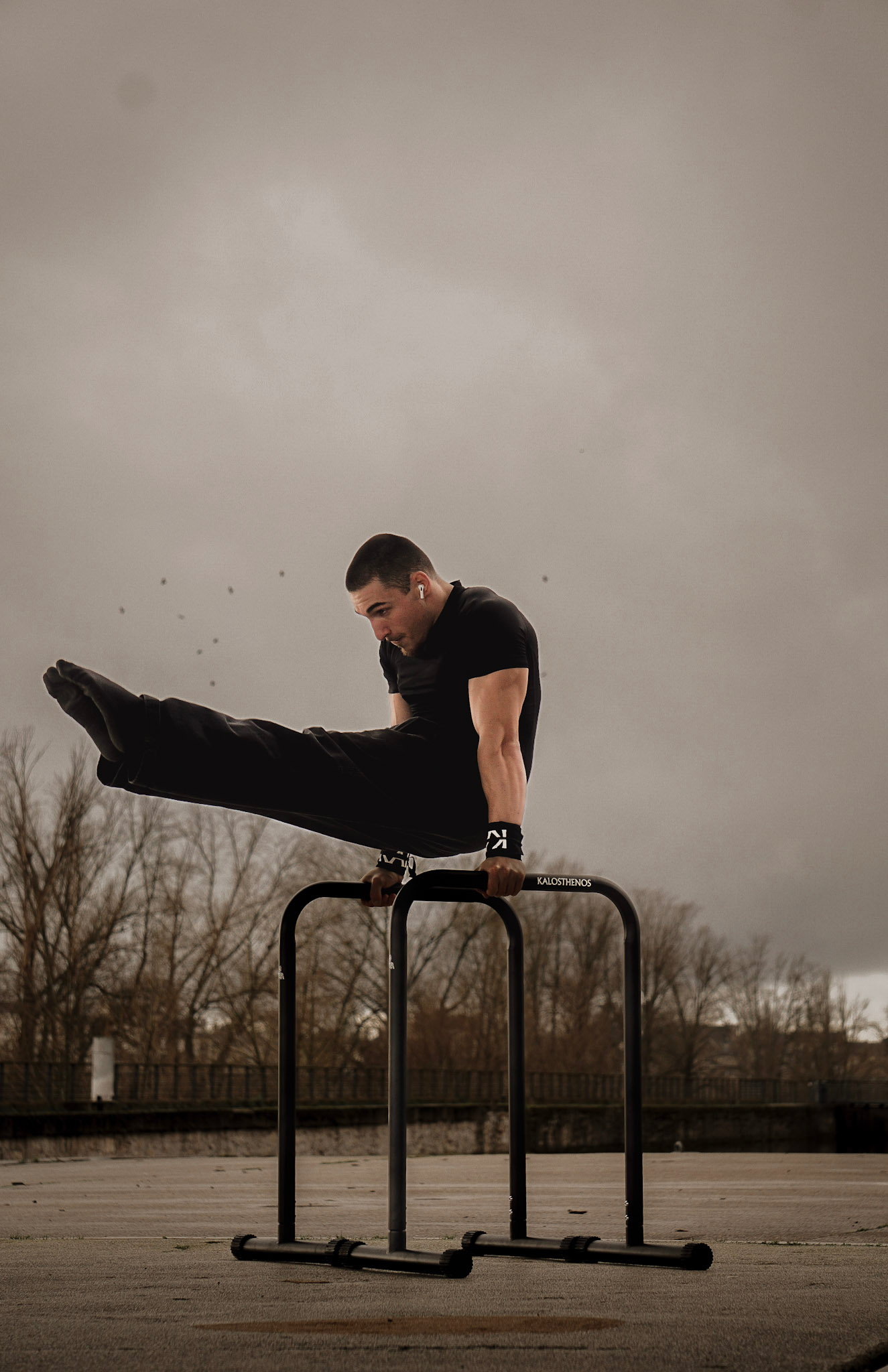 Barres De Dips/Front Lever