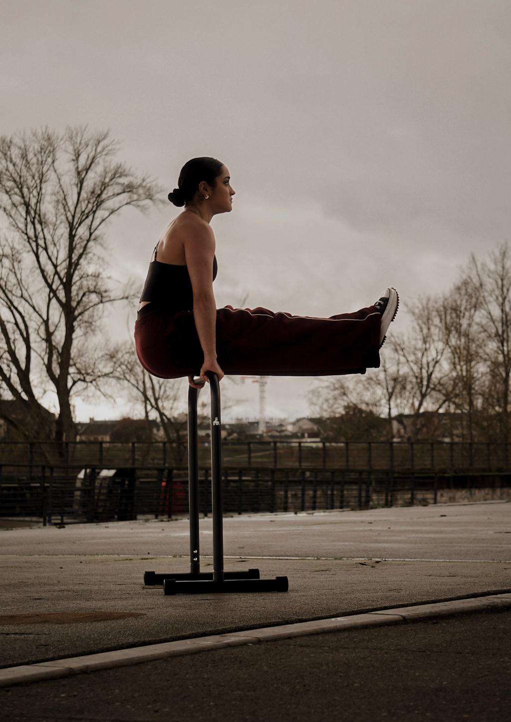 Barres De Dips/Front Lever