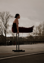 Barres De Dips/Front Lever