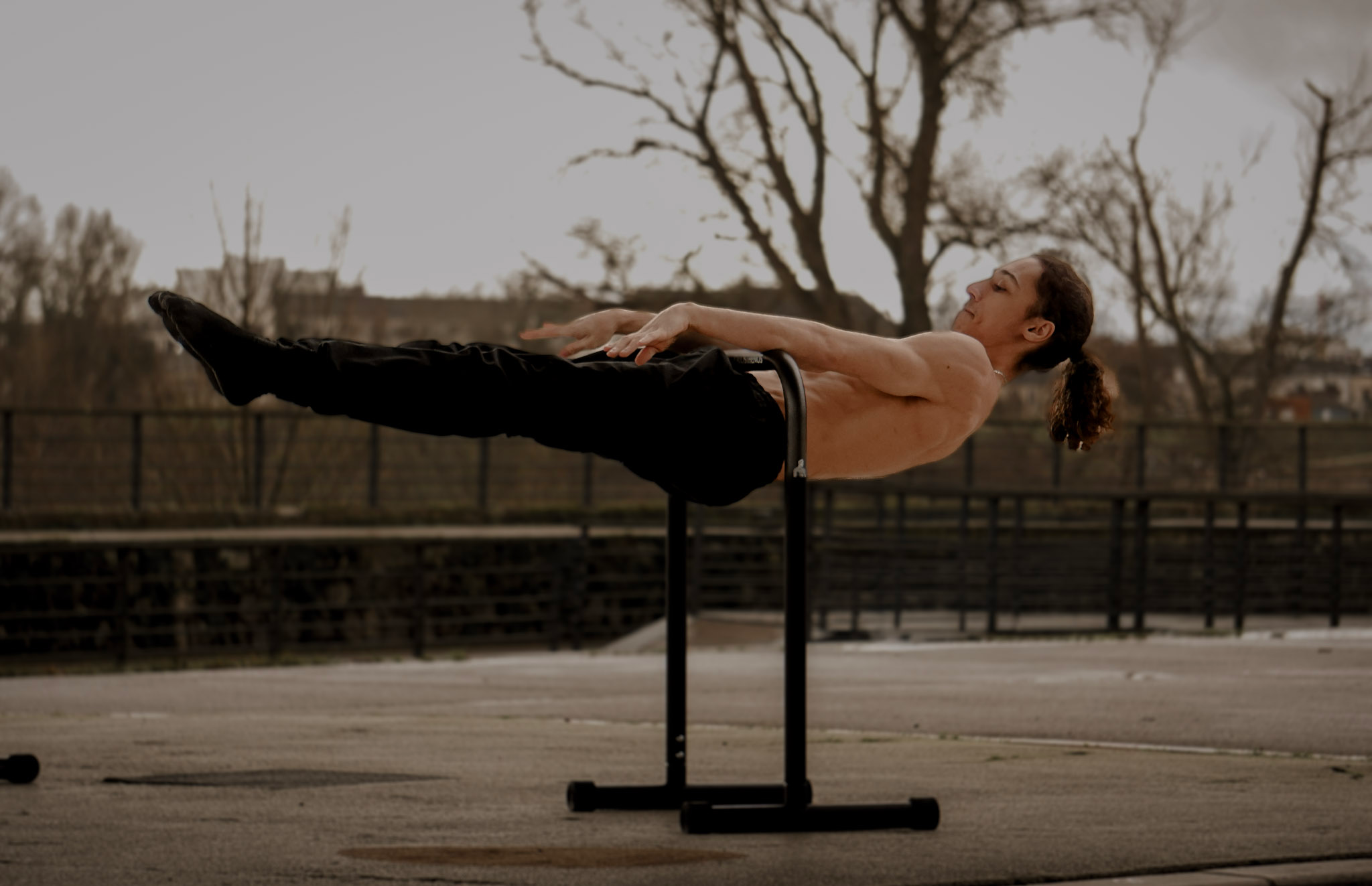 Barres De Dips/Front Lever