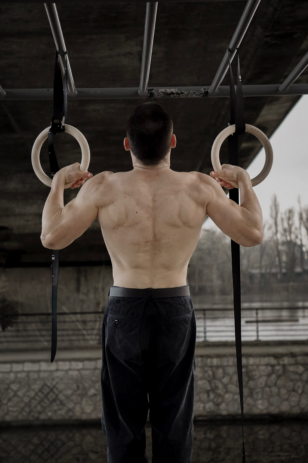 Anneaux D'entraînement