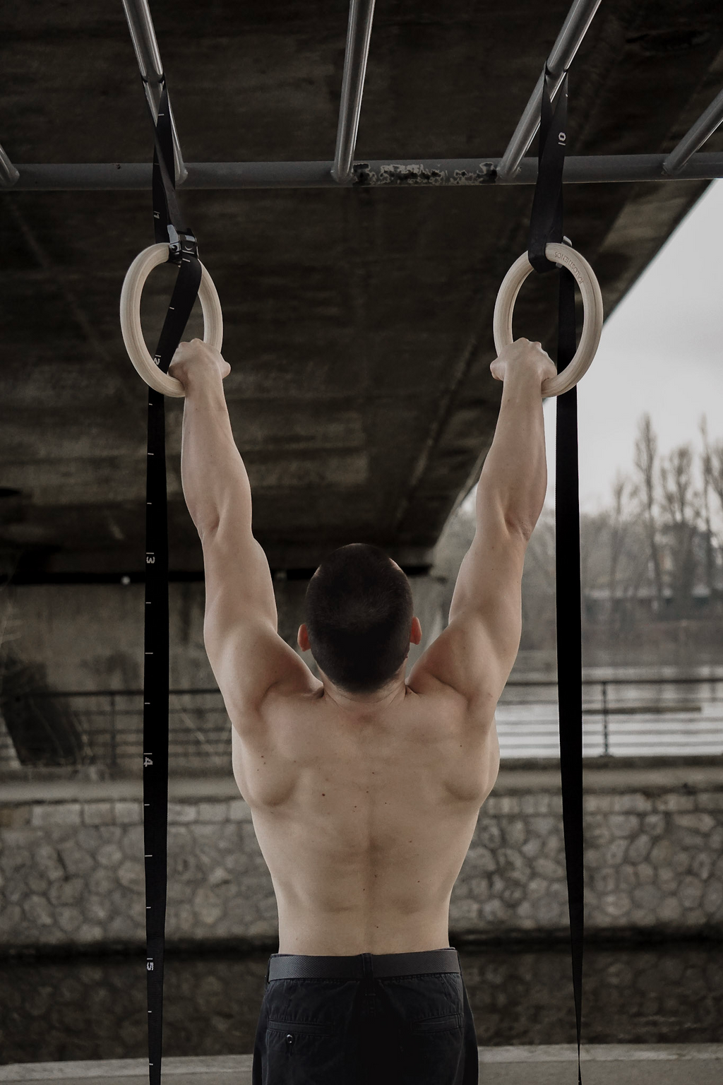 Anneaux D'entraînement