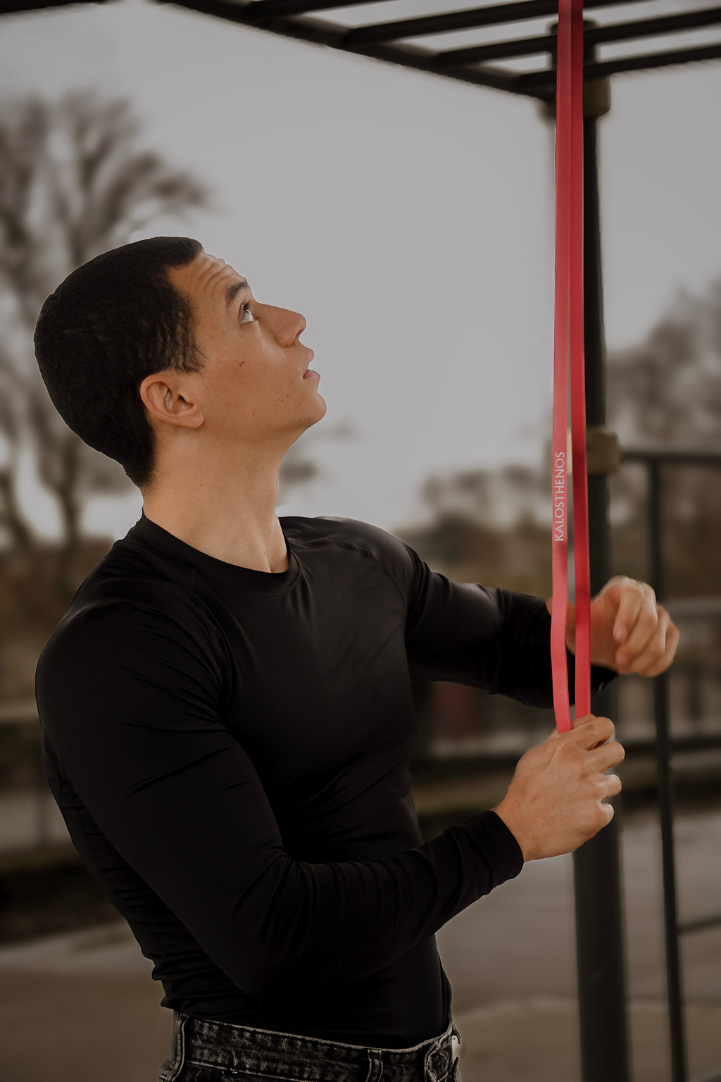 Bandes Élastiques Premium