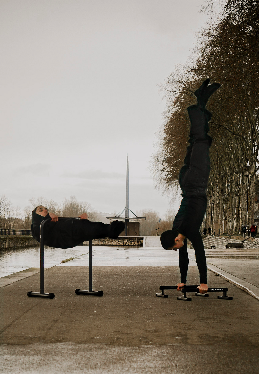 Pack Calisthenics Pro