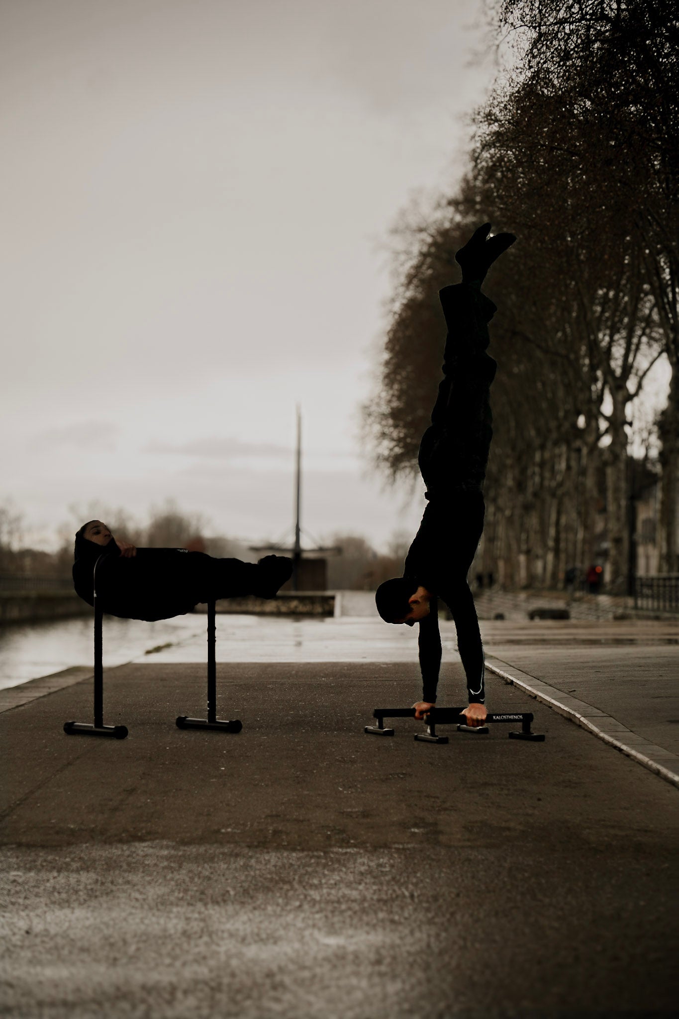 Pack Calisthenics Pro